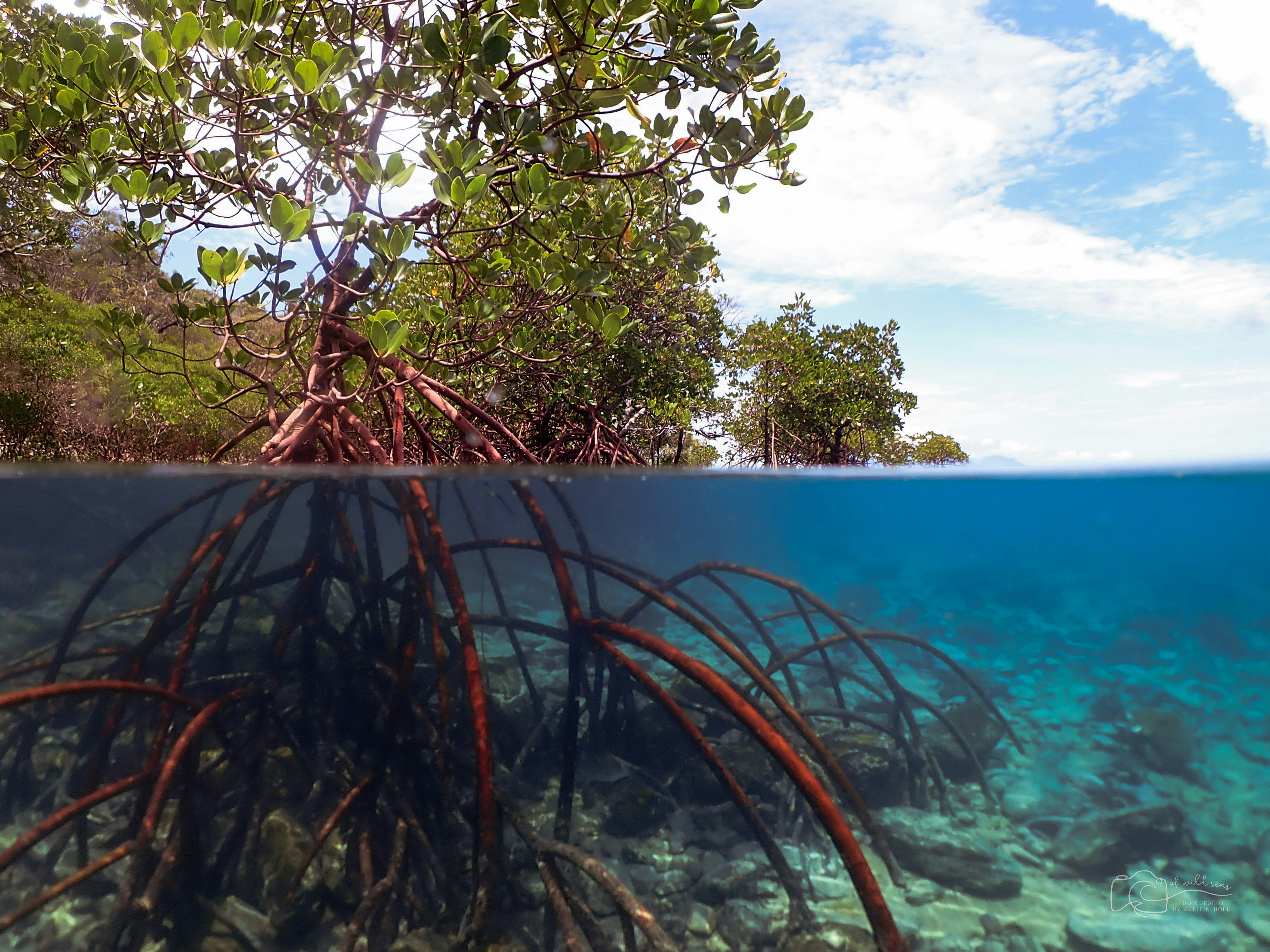 Koh Klang Island Coastal Conservation 