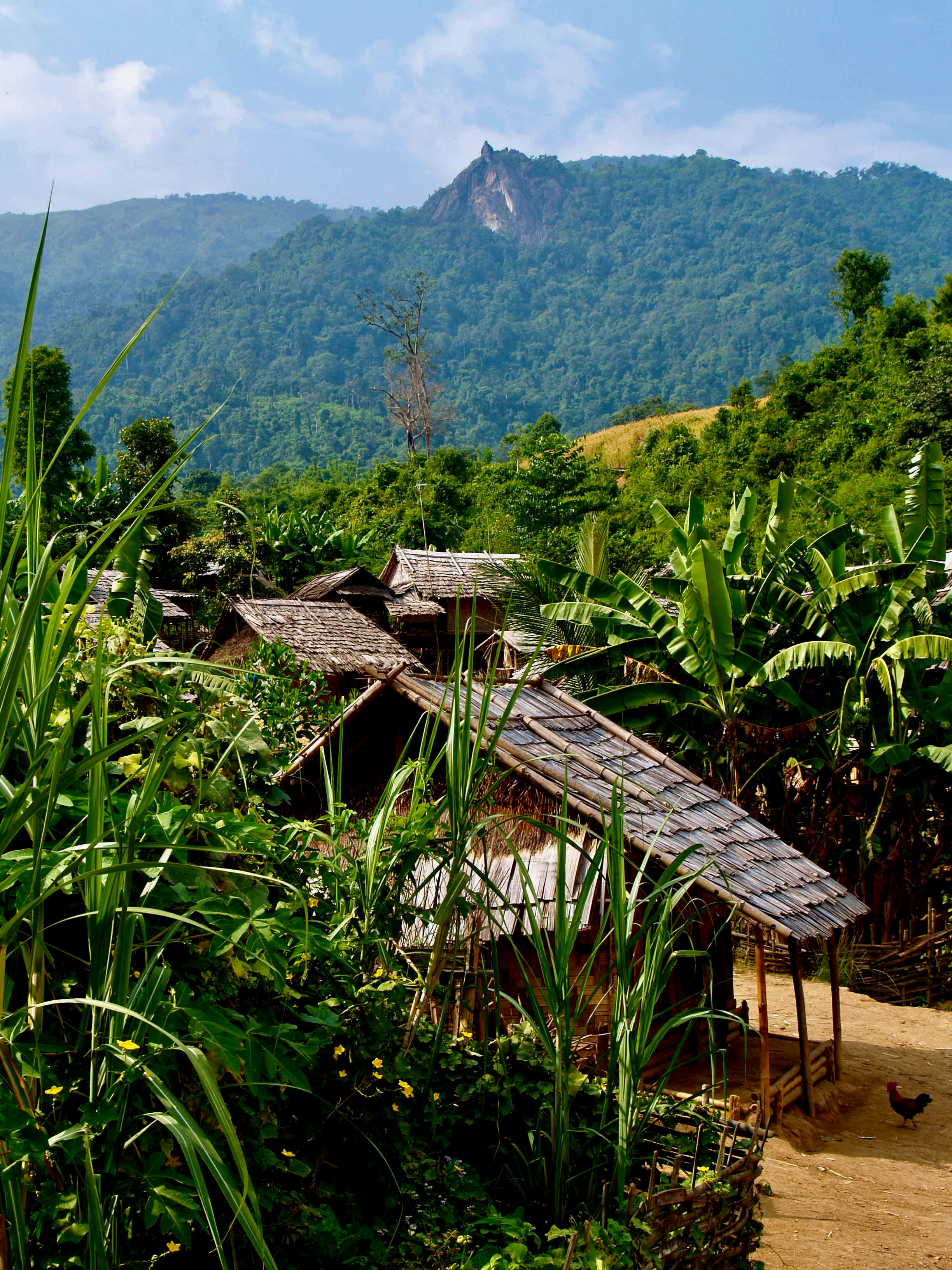 Hmong Village Hike & Homestay