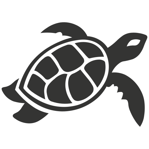 Sea turtle