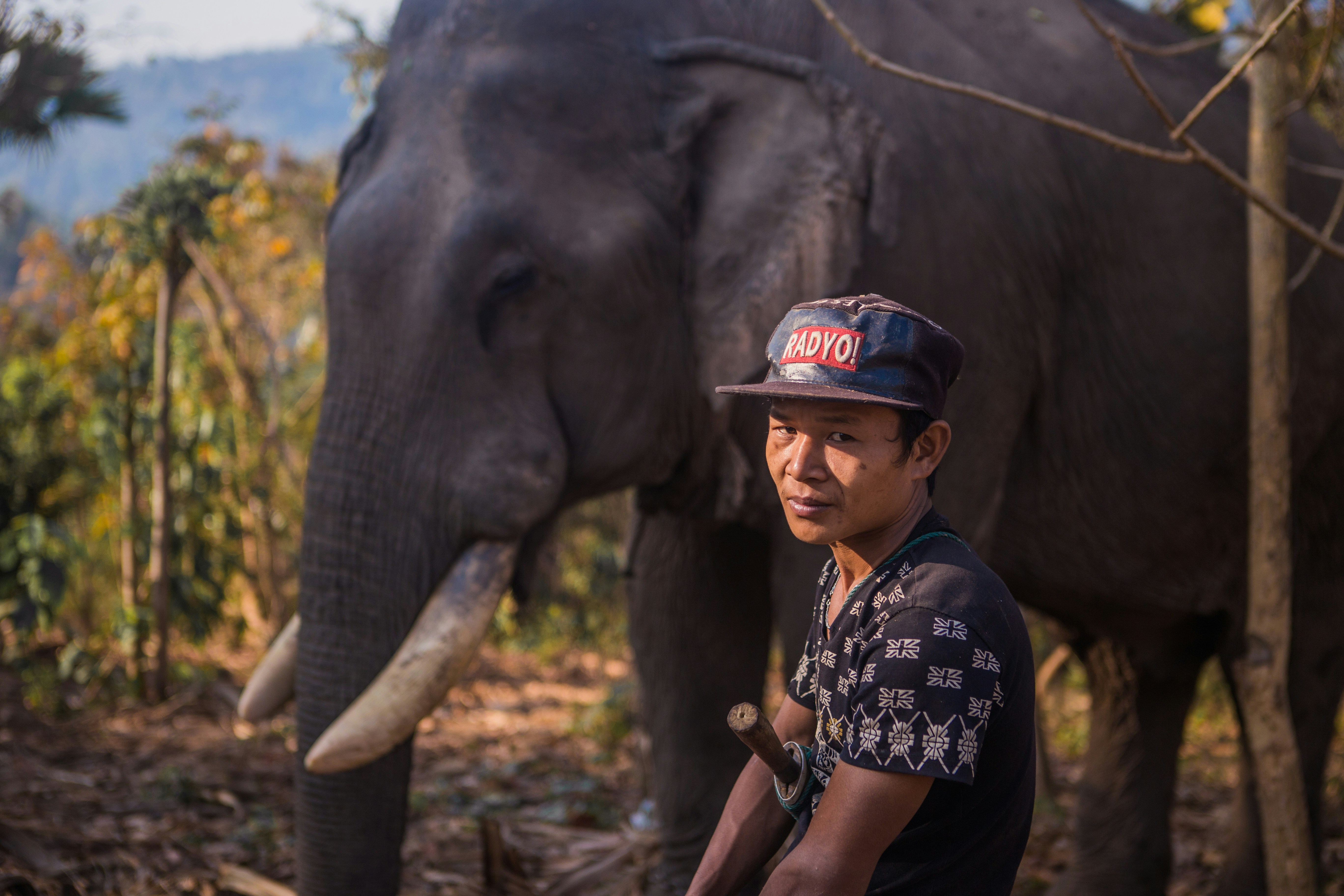 Elephant & Mahout Welfare Activism